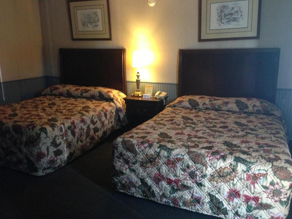 Cadet Motor Inn - Coldwater Habitación foto