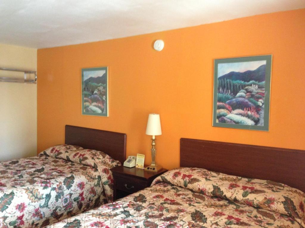 Cadet Motor Inn - Coldwater Habitación foto